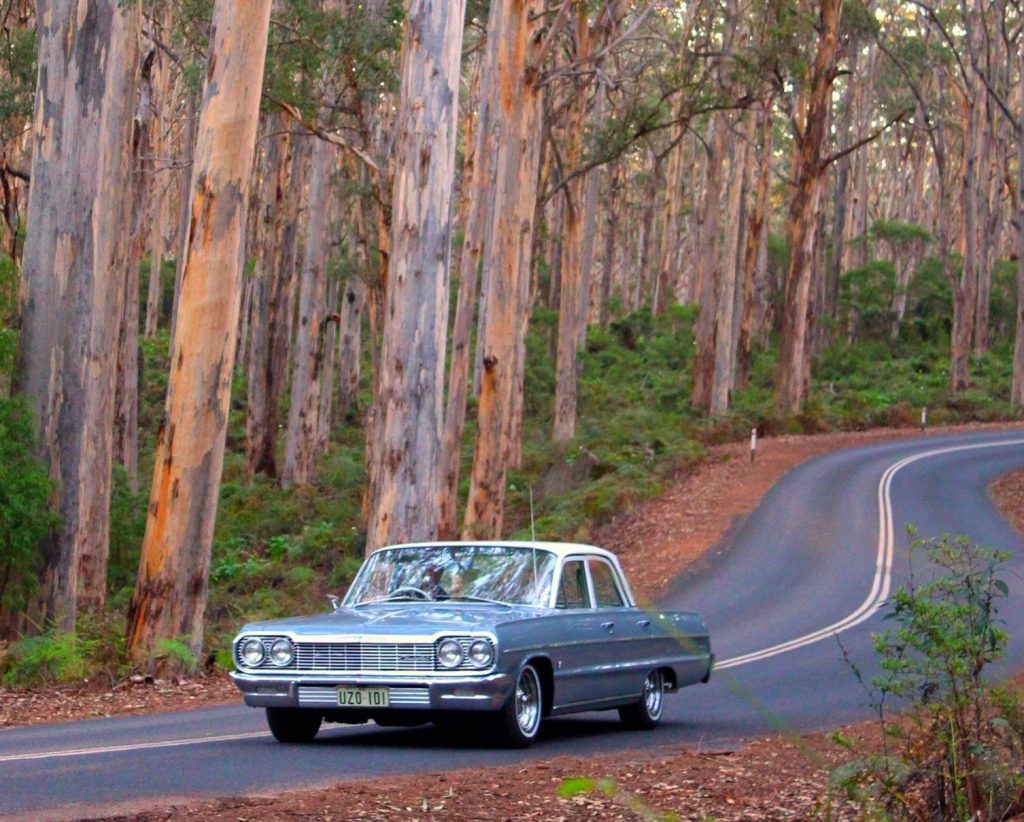 A vintage car driving on a winding road surrounded by tall trees.